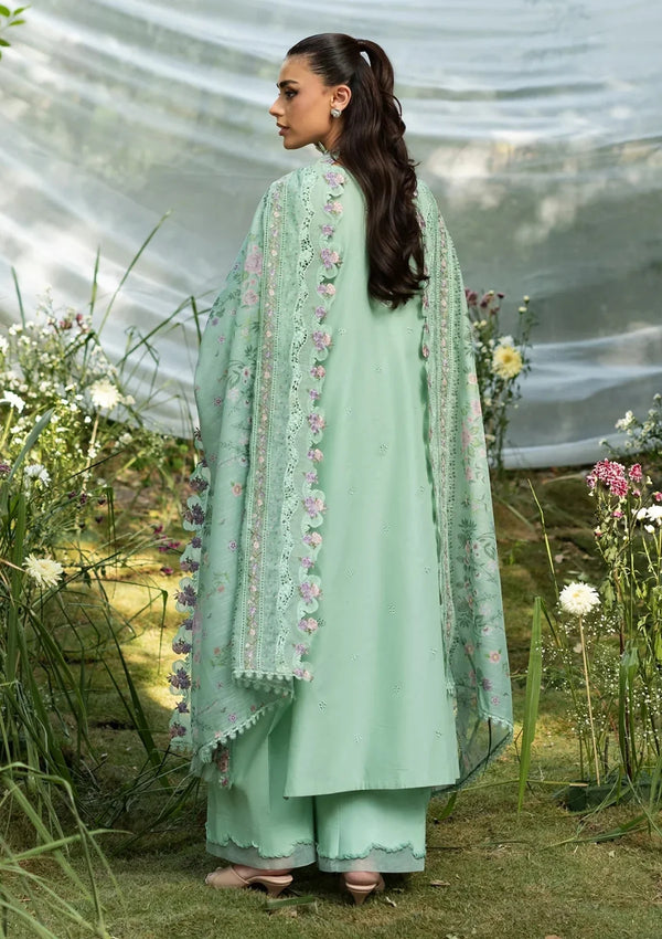 3pc | Dhanak EMB FPTF-045