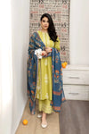 3PC | Dhanak EMB FPAK-3188